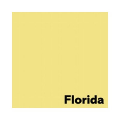 02_FLORIDA_Lemon_Yellow