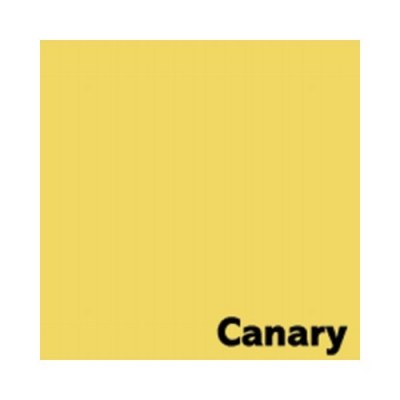 03_CANARY_Deep_Yellow