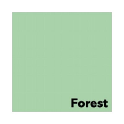 19_FOREST_Pastel_Green