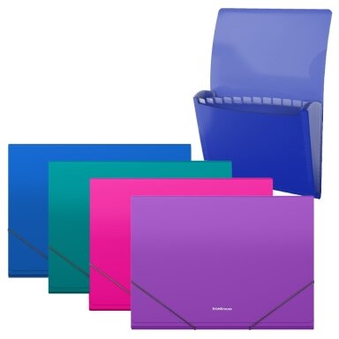 Plastikinis dėklas su skyriais MATT VIVID, ErichKrause, A4, 700mkr, 12 skyrių, su guma, 4 sp. Plastikinis dėklas su skyriais MATT VIVID, ErichKrause, A4, 700mkr, 12 skyrių, su guma, 4 sp.
